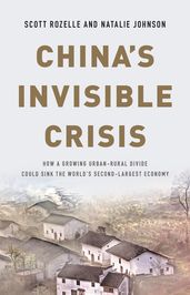 China s Invisible Crisis