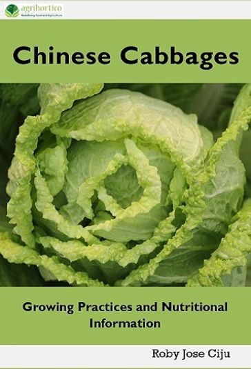 Chinese Cabbages - ROBY JOSE CIJU