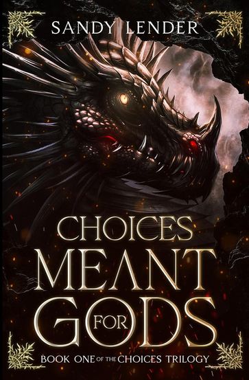 Choices Meant For Gods - Sandy Lender