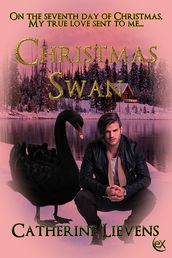 Christmas Swan