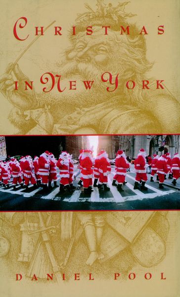 Christmas in New York - Daniel Pool