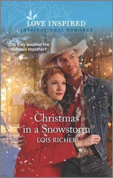 Christmas in a Snowstorm - Lois Richer