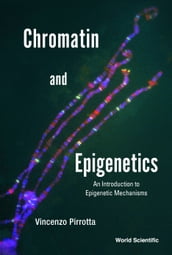 Chromatin and Epigenetics