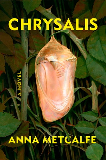 Chrysalis - Anna Metcalfe