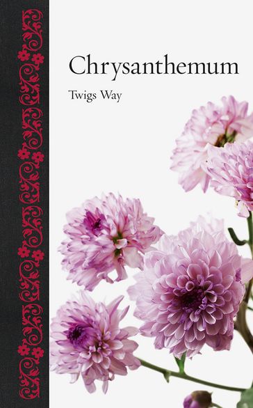 Chrysanthemum - Twigs Way