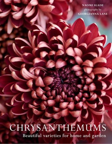 Chrysanthemums: Beautiful varieties for home and garden - Naomi Slade - Georgianna Lane