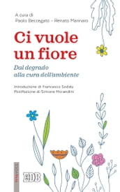 Ci vuole un fiore