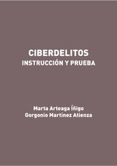 Ciberdelitos. Instrucción y prueba