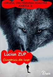 Cicatrici de lup