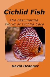 Cichlid Fish