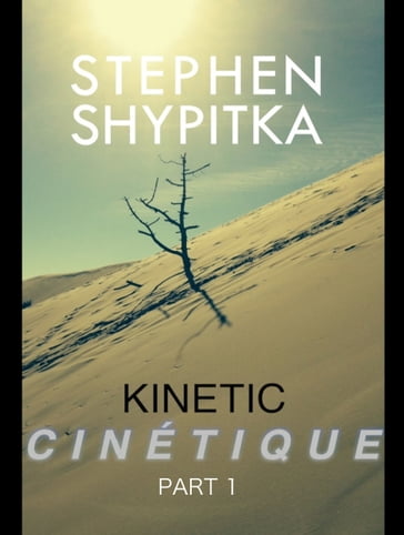 Cinétique Part 1 - Stephen Shypitka