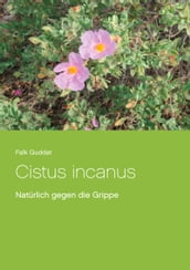 Cistus incanus