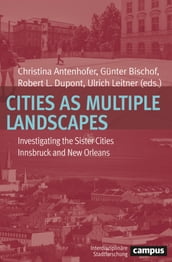 Cities as Multiple Landscapes