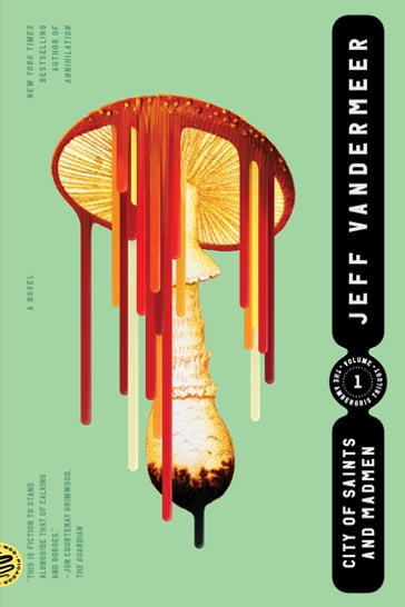 City of Saints and Madmen - Jeff Vandermeer