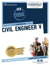 Civil Engineer V