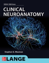 Clinical Neuroanatomy