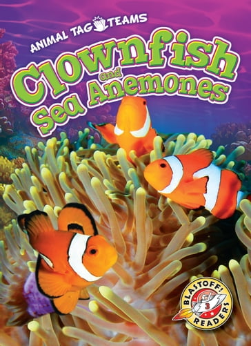 Clownfish and Sea Anemones - Kari Schuetz