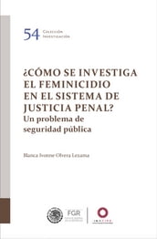 Cómo se investiga el feminicidio en el Sistema de Justicia Penal?