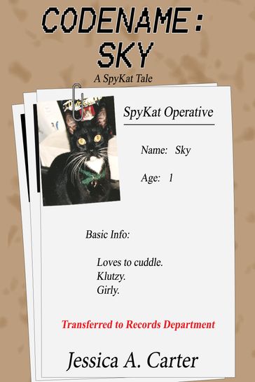 Codename: Sky - Jessica A. Carter