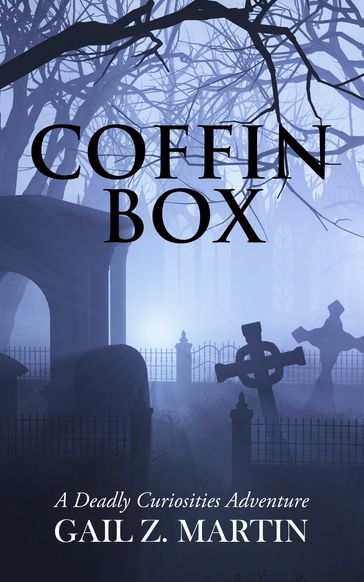 Coffin Box - Gail Z. Martin