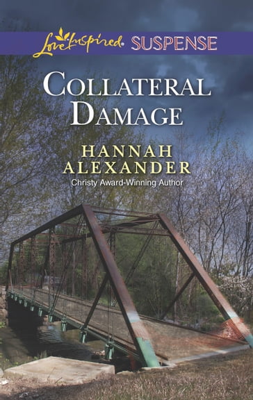 Collateral Damage - Hannah Alexander