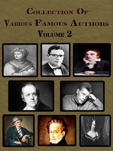 Collection Of Various Famous Authors Volume 2 - Various Author