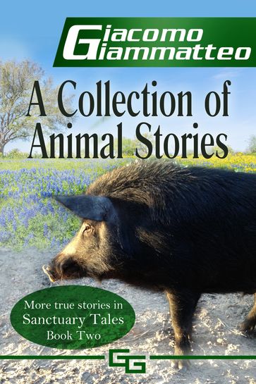 A Collection of Animal Stories, Sanctuary Tales II - Giacomo Giammatteo