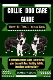 Collie dog care guide