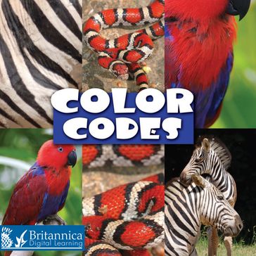 Color Codes - Lynn Stone
