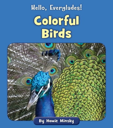 Colorful Birds - Howie Minsky