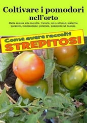 Coltivare i pomodori nell orto. Come avere raccolti strepitosi