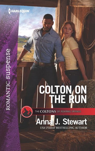 Colton on the Run - Anna J. Stewart