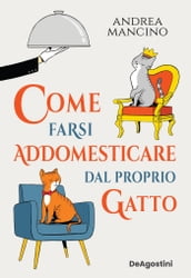 Come farsi addomesticare dal proprio gatto