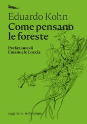 Come pensano le foreste