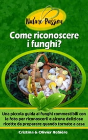 Come riconoscere i funghi?
