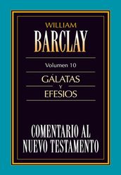 Comentario al Nuevo Testamento Vol. 10