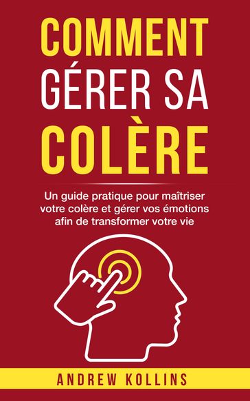 Comment gérer sa colère - Andrew Kollins