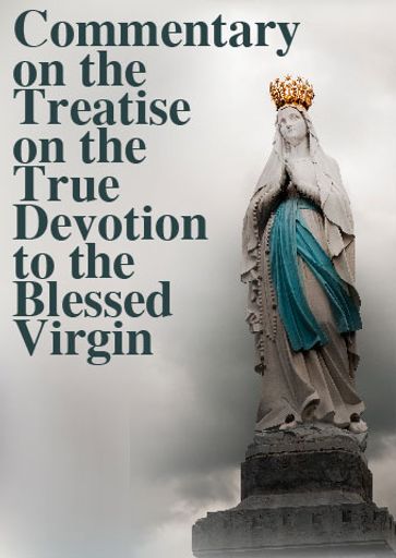 Commentary on the Treatise on the True Devotion to the Blessed Virgin - Fr. Armand Plessis