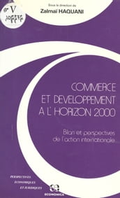 Commerce et développement à l horizon 2000 : bilan et perspectives de l action internationale