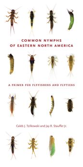 Common Nymphs of Eastern North America