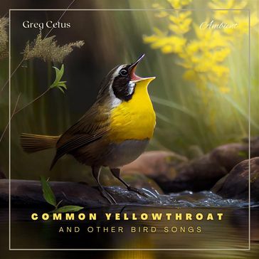 Common Yellowthroat and Other Bird Songs - Greg Cetus