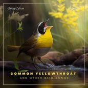 Common Yellowthroat and Other Bird Songs