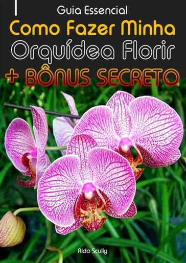 Como Fazer Minha Orquídea Florir - Aldo Scully