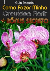 Como Fazer Minha Orquídea Florir