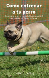 Como entrenar a tu perro Entrenar a tu perro nunca había sido tan fácil en este libro te damos las bases