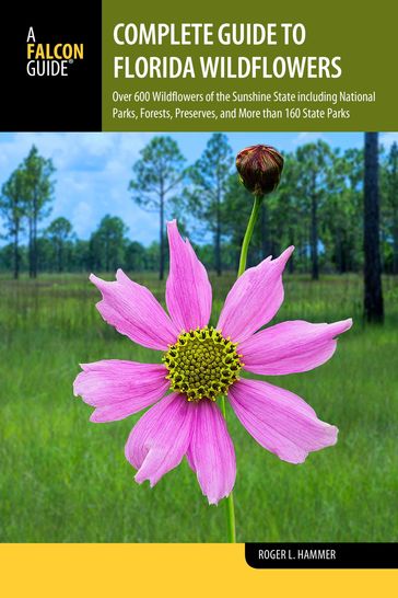Complete Guide to Florida Wildflowers - Roger L. Hammer