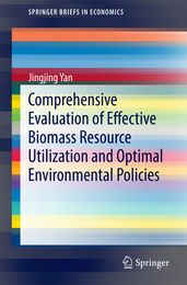 Comprehensive Evaluation of Effective Biomass Resource Utilization and Optimal Environmental Policies