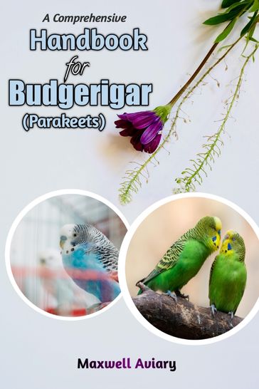 A Comprehensive Handbook for Budgerigar (Budgies/Parakeets) - Maxwell Aviary