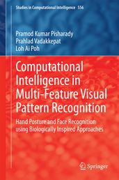 Computational Intelligence in Multi-Feature Visual Pattern Recognition