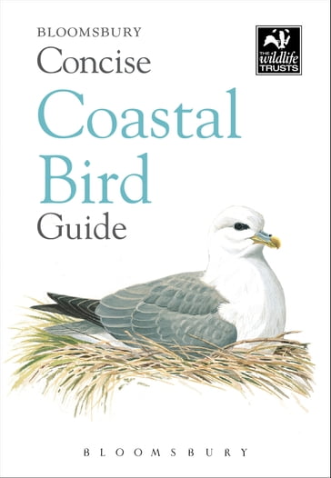 Concise Coastal Bird Guide - Bloomsbury Publishing